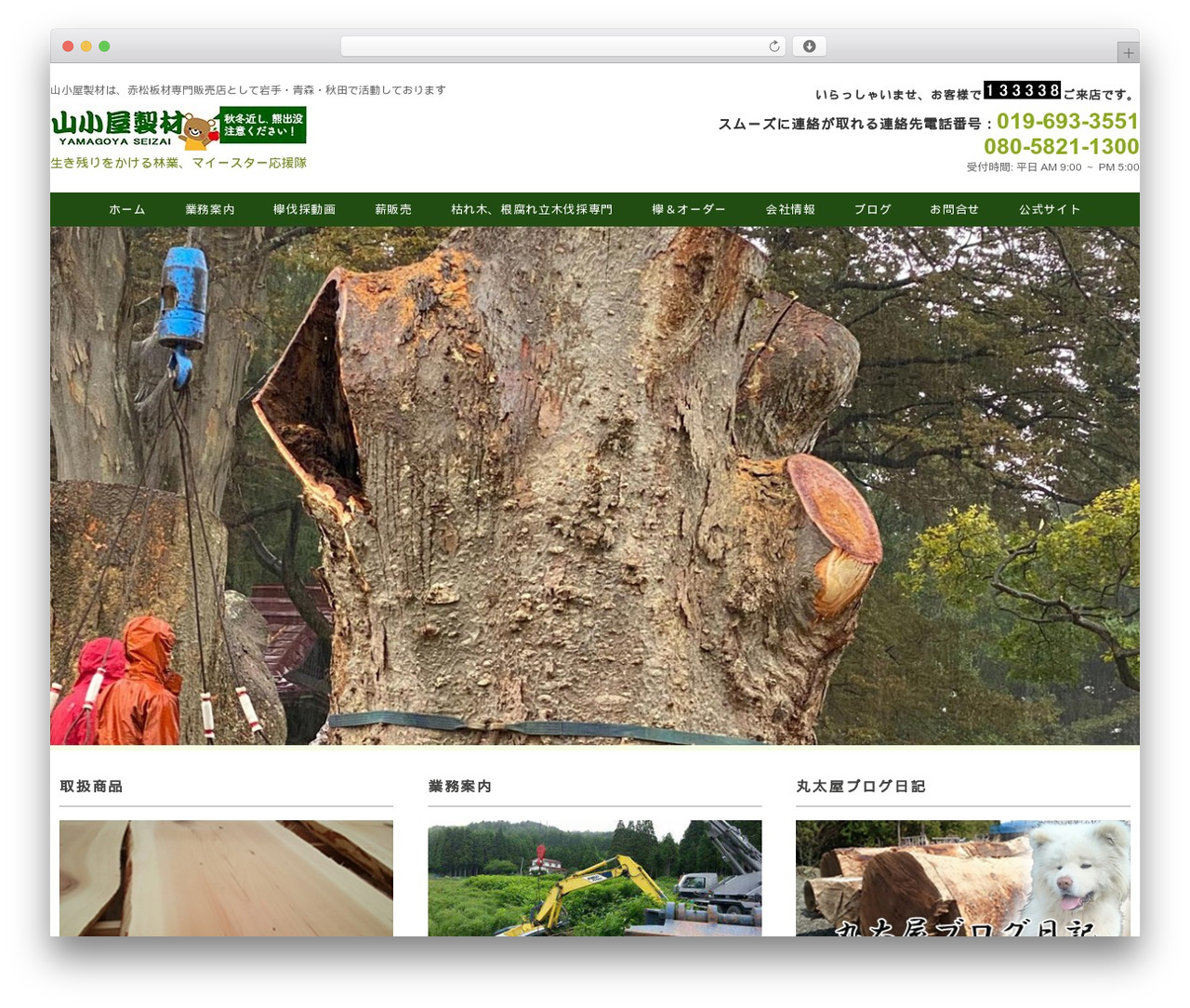 Ruby Tuesday WordPress theme - work-sangyo.com