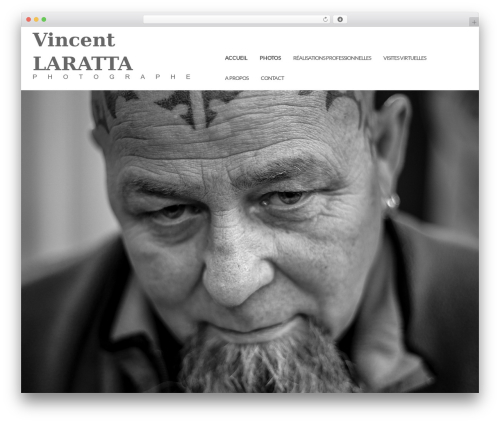 Shapely WordPress theme - vincentlaratta.com
