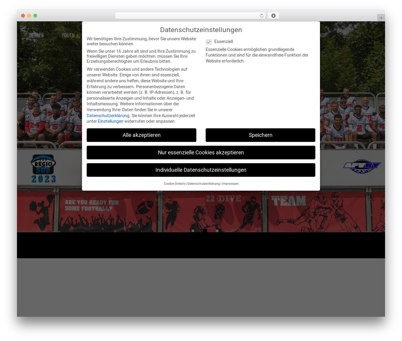 Splash theme WordPress - franken-knights.de