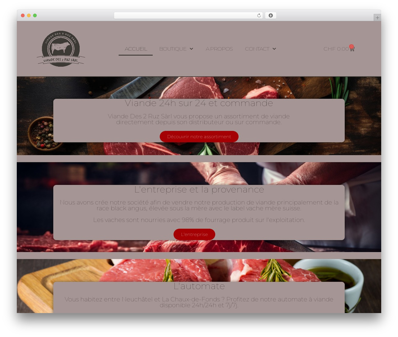 Theme WordPress Hello Elementor - viandedes2ruz.ch