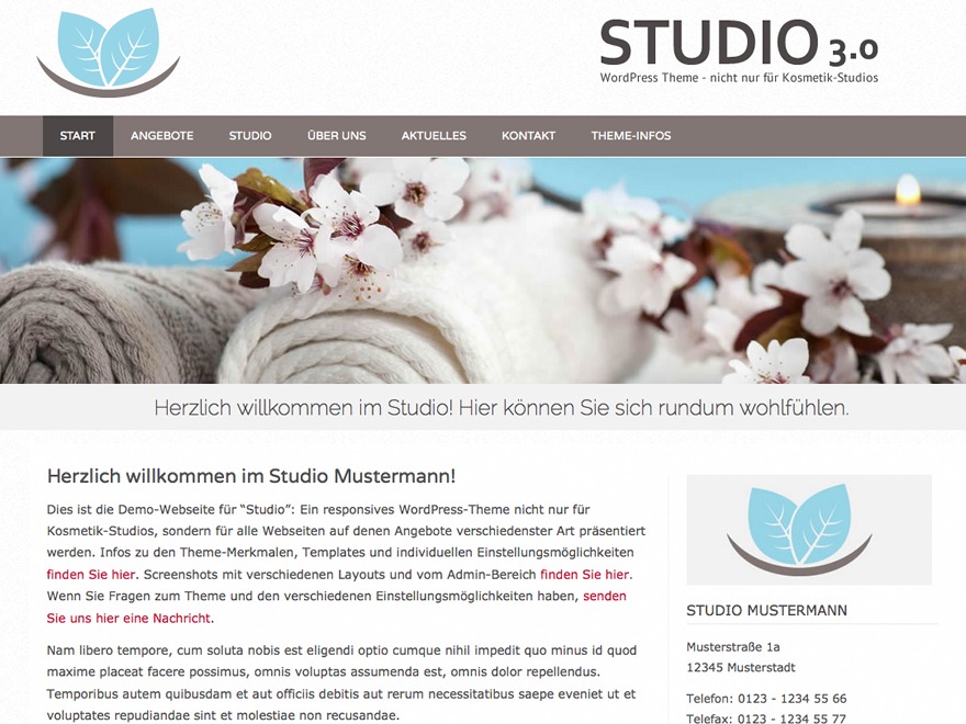Theme WordPress Studio3