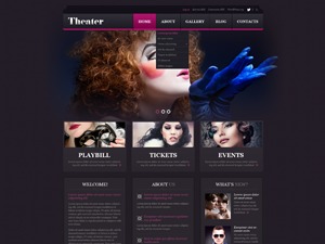 Theme WordPress theme50879