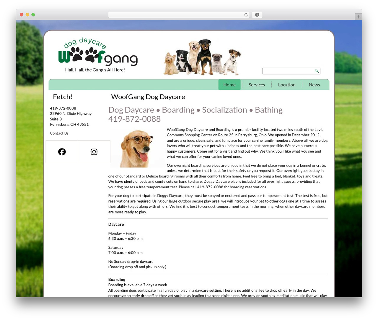 version1 theme WordPress - woofgangdogdaycare.com