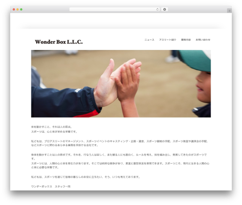 Widely WordPress theme design - wonderboxllc.info