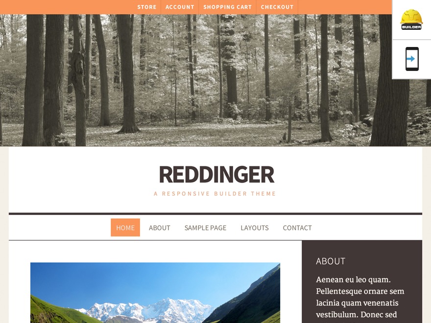 WordPress theme Reddinger - Custom WordPress theme Reddinger - Custom
