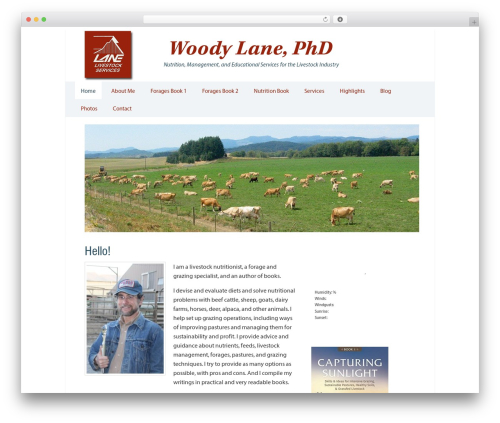 WordPress theme Genesis - woodylane.com