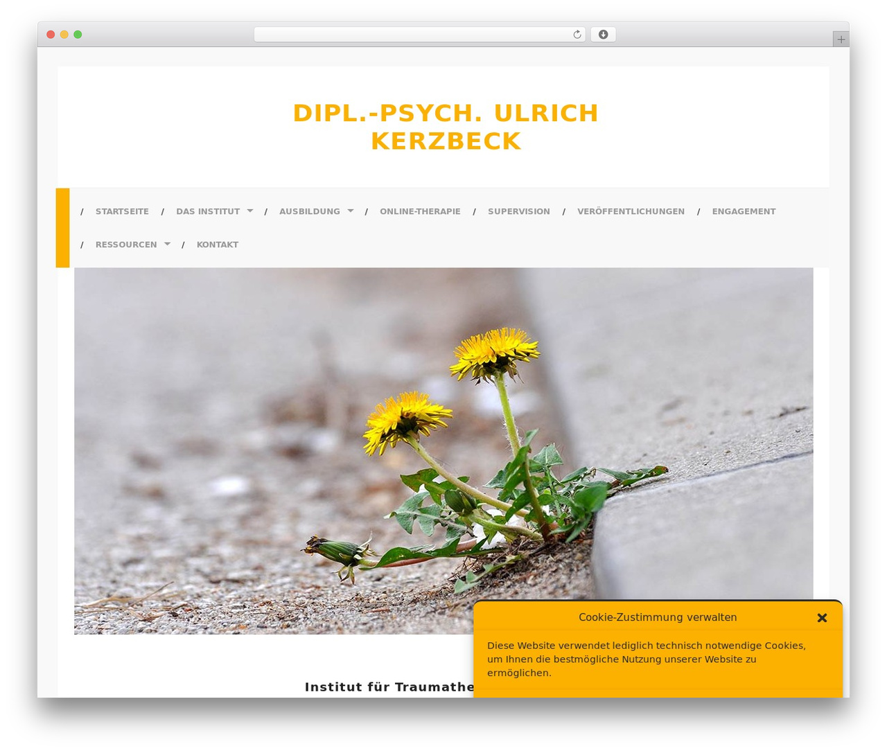WordPress theme Hoffman - traumainstitut-detmold.de WordPress theme Hoffman - traumainstitut-detmold.de