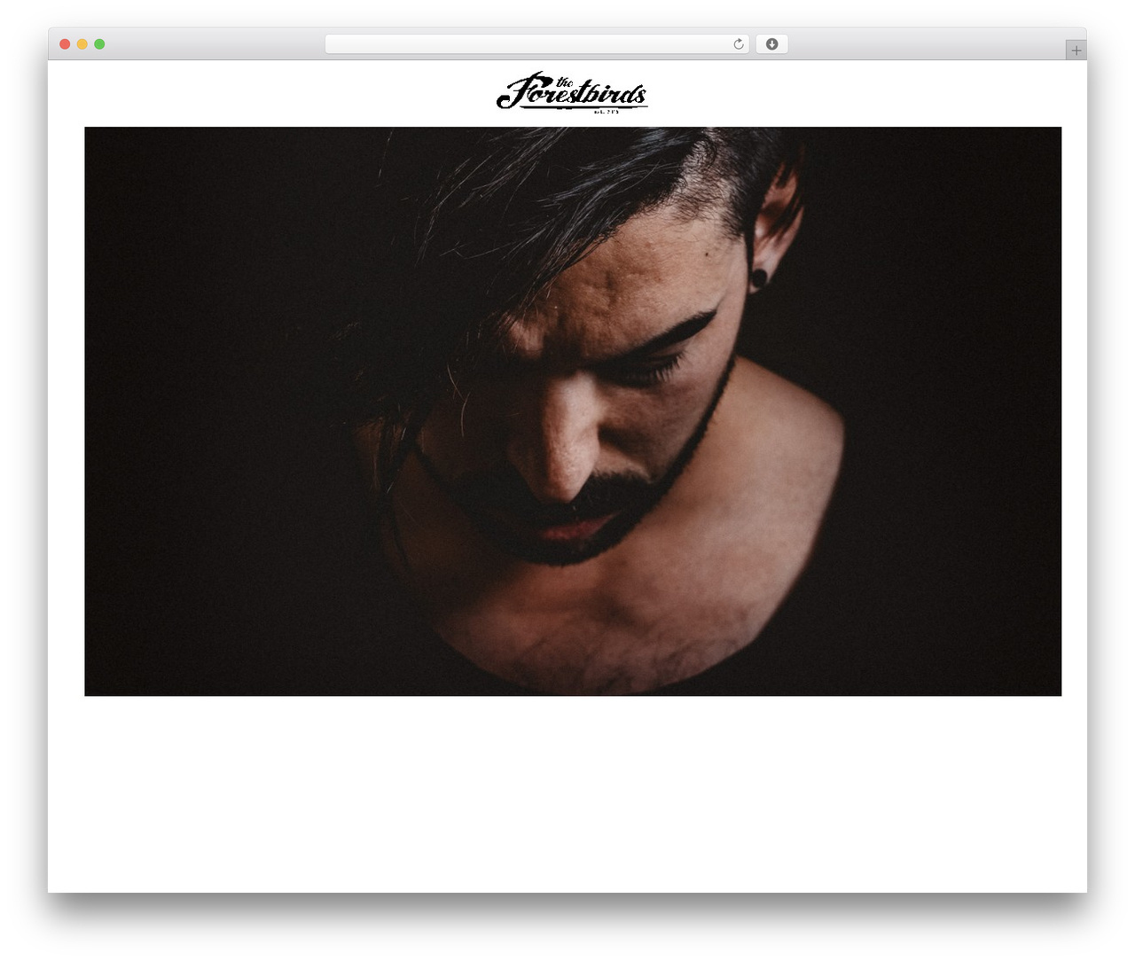 WordPress theme Lyra - theforestbirds.com