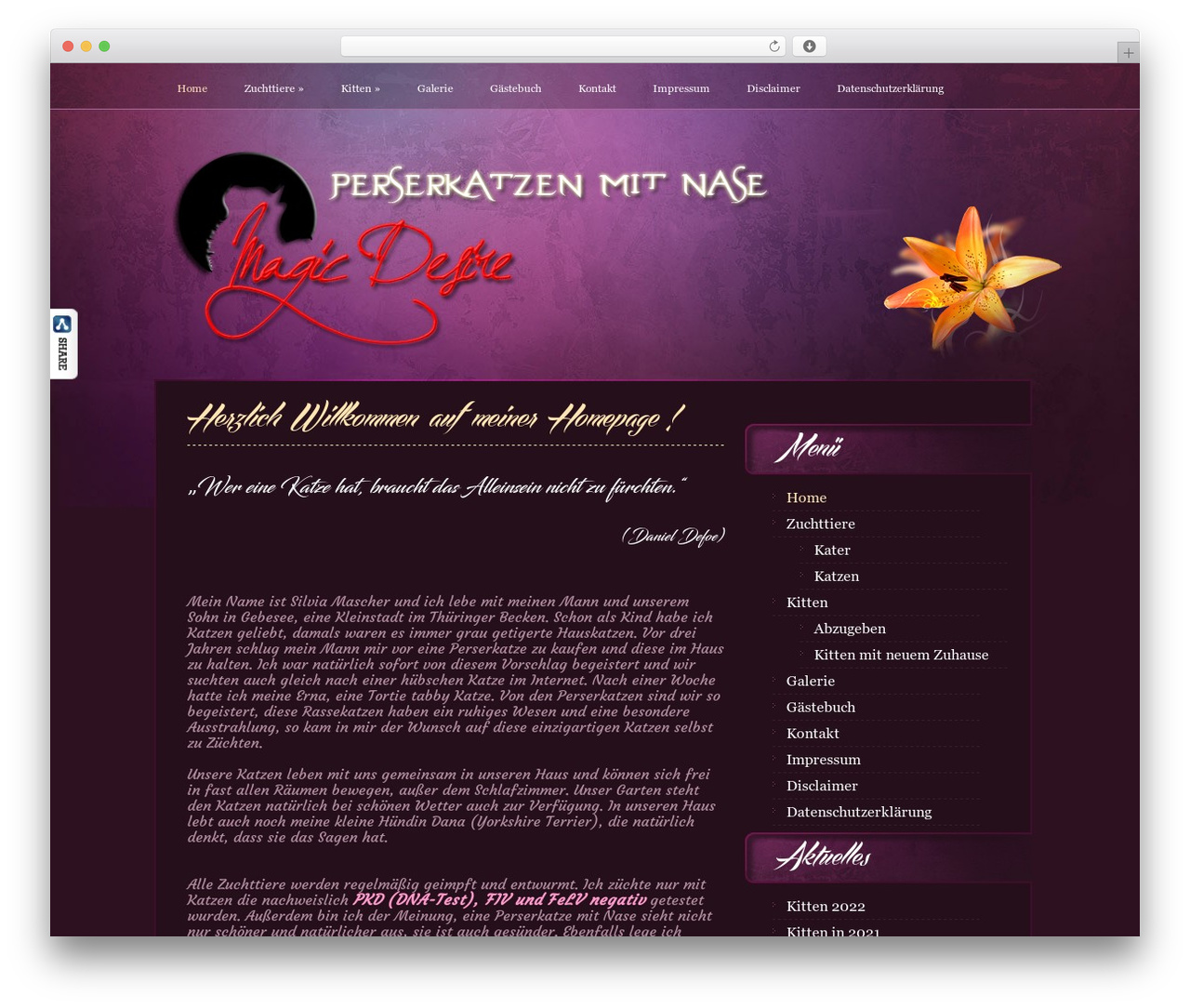 LightSource theme WordPress - perser-of-magic-desire.de