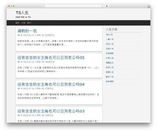 pacify theme WordPress - halfts.com