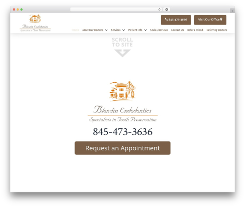 Pro theme WordPress - blondinendo.com