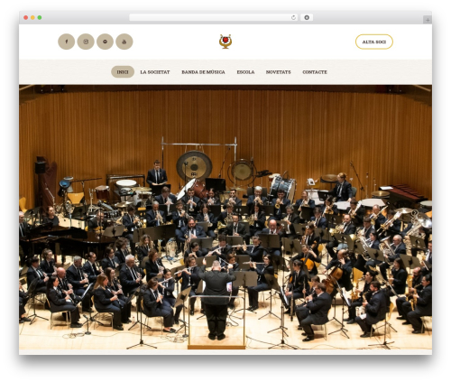 Rhythmo top WordPress theme - cacvergedelapau.com