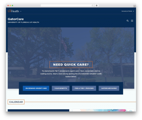 Apollo WordPress theme - gatorcare.org