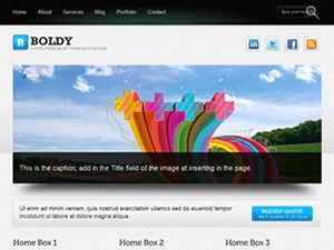 Boldy de Maria Pinta WordPress page template