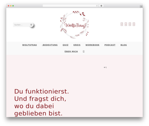 Dsgvo pixelmate premium WordPress plugin - wolfsfrau.net