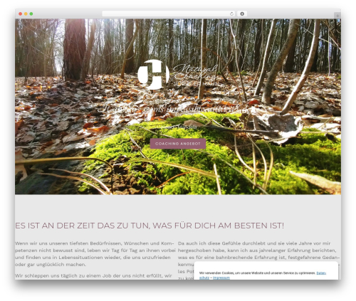 WordPress theme Constructor - jennifer-hahn.de