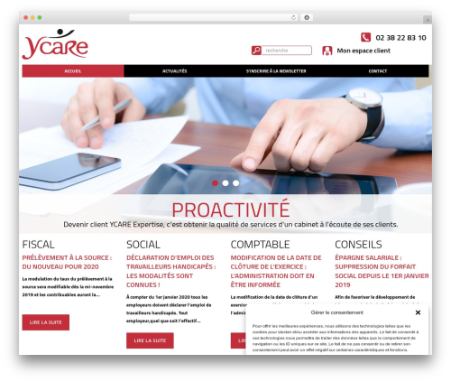 WordPress theme cherry - ycare-expertise.fr