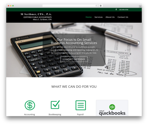 WordPress theme Divi - rsscpa.com