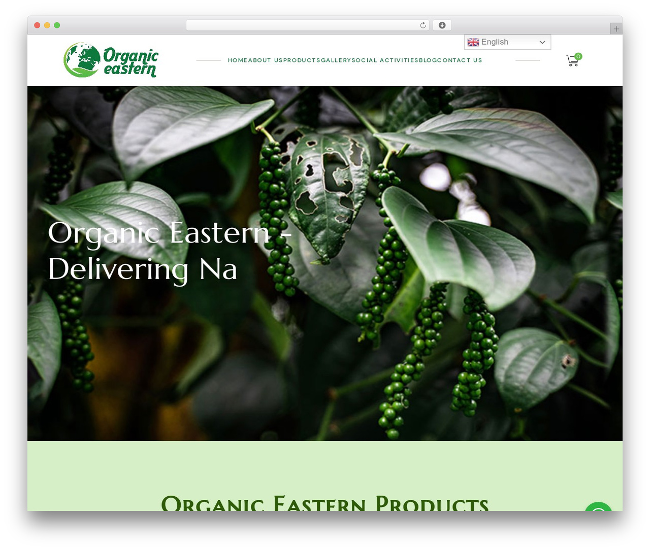 Amfissa WordPress theme - organiceastern.com Amfissa WordPress theme - organiceastern.com