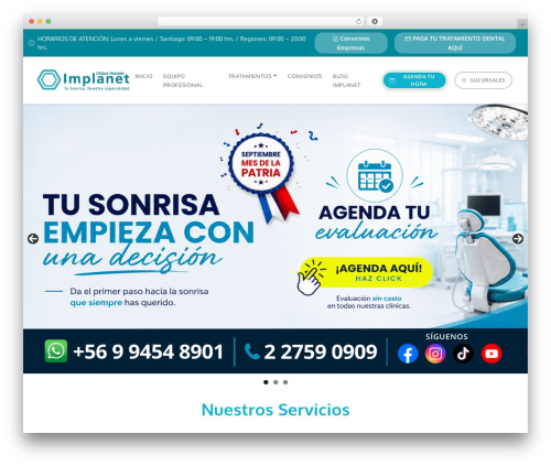 BB WordPress theme - implanet.cl
