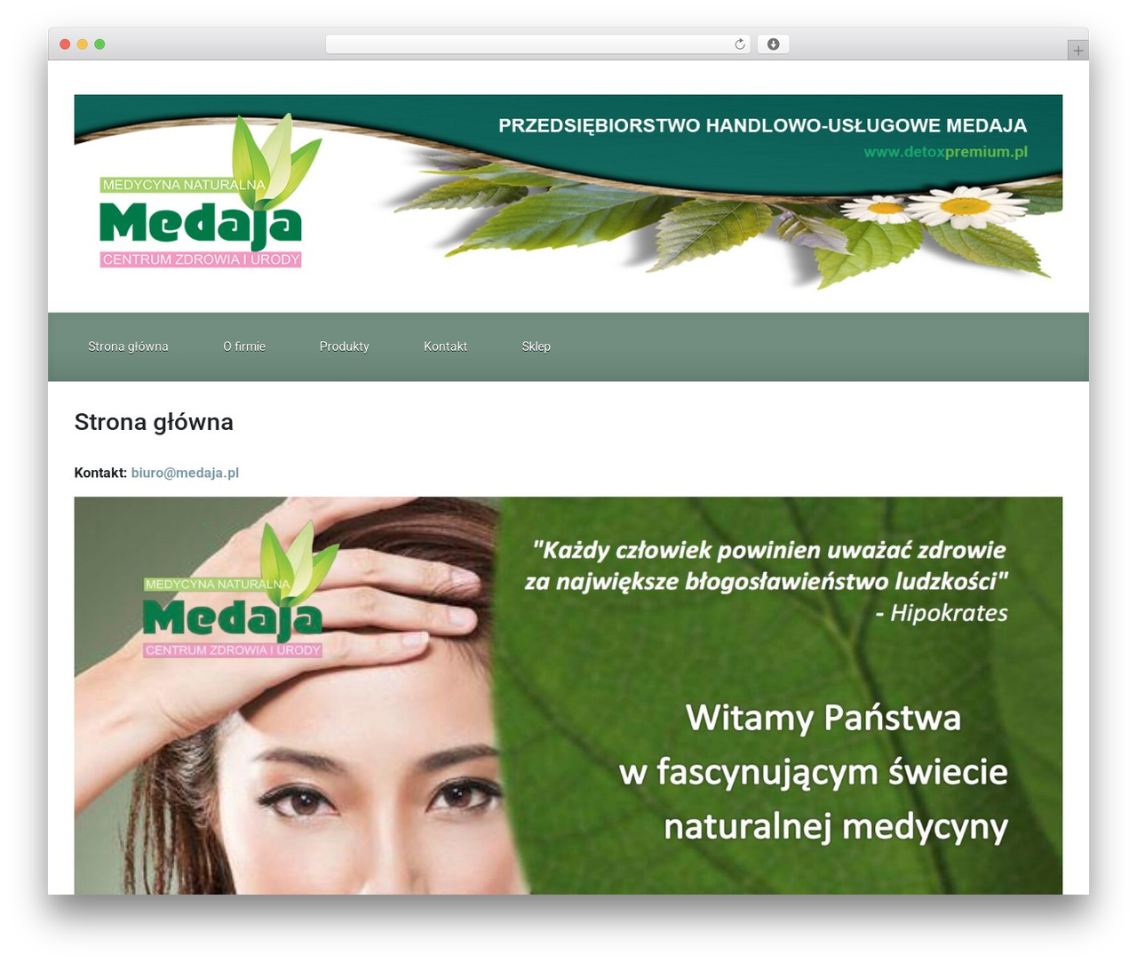 evolve WordPress website theme - medaja.pl