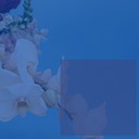 Image Watermark Plugin for WordPress, WordPress Watermark Plugin, Add Watermark on WordPress – Ultimate Watermark free WordPress plugin Image Watermark Plugin for WordPress, WordPress Watermark Plugin, Add Watermark on WordPress – Ultimate Watermark free WordPress plugin