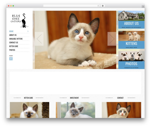 Socha Responsive Theme WordPress theme - marylandsiamese.com