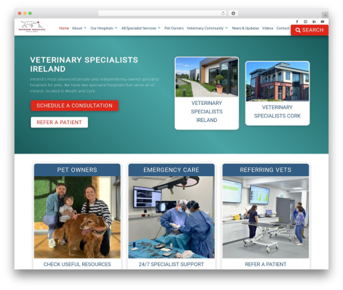 Divi taxonomy helper WordPress plugin - vetspecialists.ie