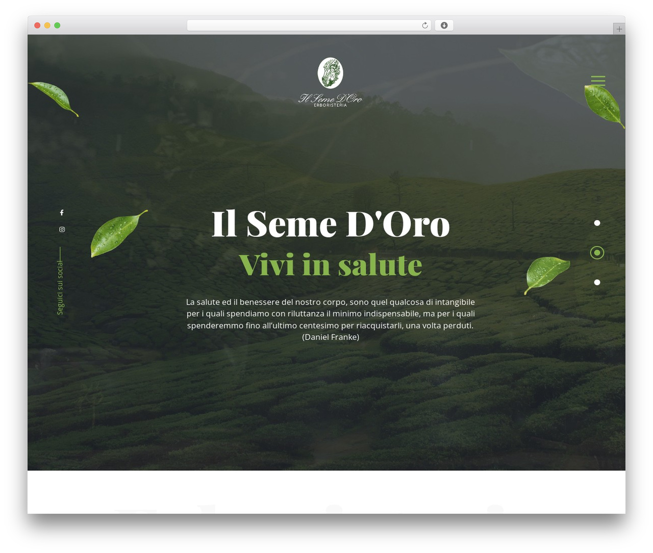 Chaitan WP theme - ilsemedoro.com