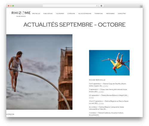 Hello Elementor WordPress theme design - rhizome-web.com