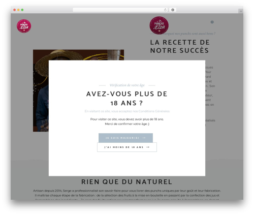 Singlemalt core WordPress plugin - punch-elsa.com