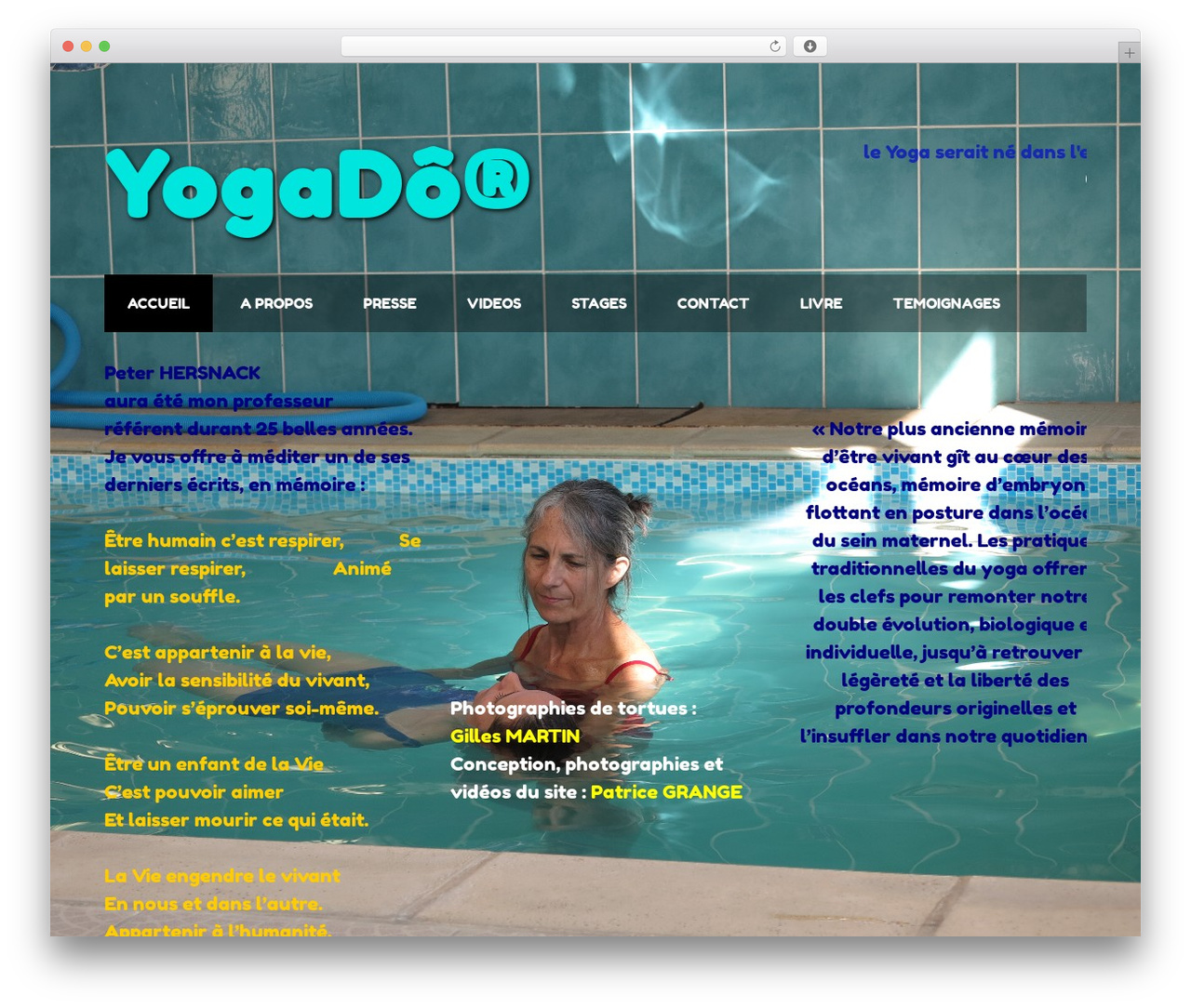 WordPress theme spa - yogado.net WordPress theme spa - yogado.net