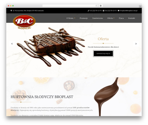 Angular CLI best WordPress theme - broplast.com.pl