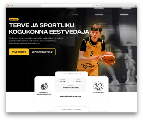 Event Timeline Feed (timeline-feed) free WordPress plugin - raekoss.ee