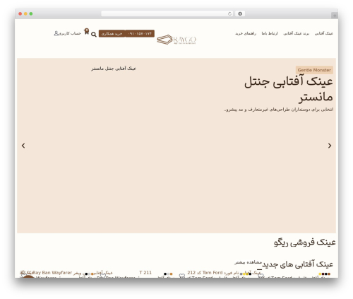 Hello Elementor WordPress theme - raygoptic.com