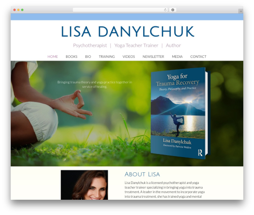 Novelist (novelist) free WordPress plugin - lisadanylchuk.com