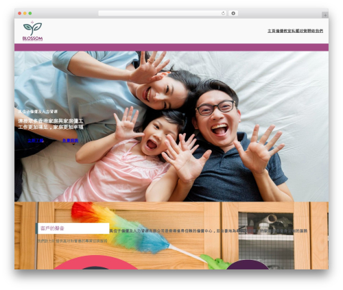 Cleaner theme WordPress - blossom-people.com