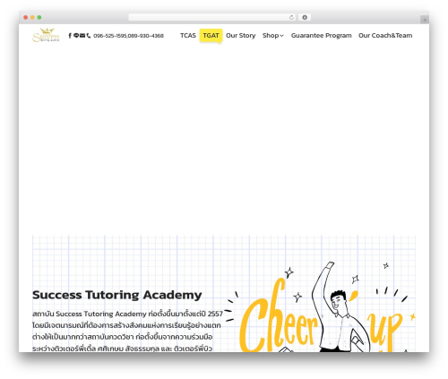 Icofont WordPress plugin - success-tutor.com