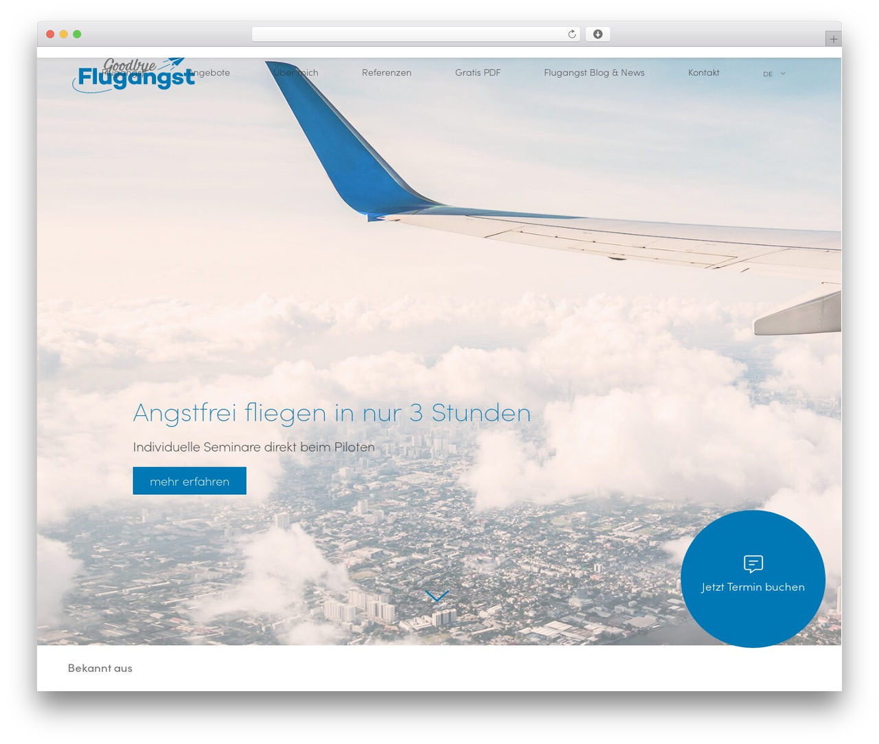 Mustersite theme WordPress - goodbyeflugangst.ch