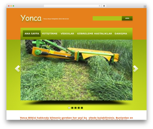 theme1777 WordPress theme - yonca.gen.tr