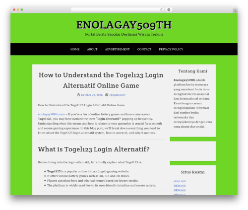 X Blog theme WordPress - enolagay509th.com