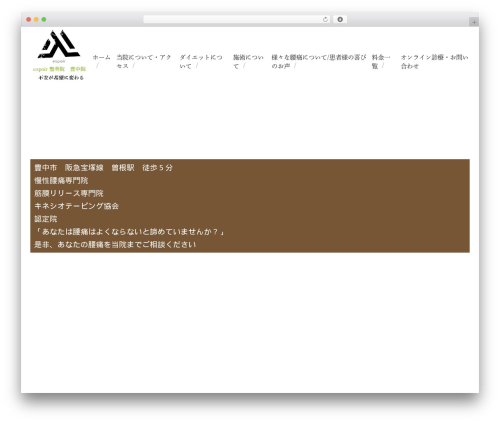 Best WordPress theme Themify Basic - espoir-kinesio.com