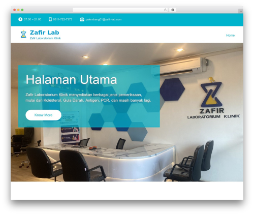 MediHealth WordPress website theme - zafir-lab.com