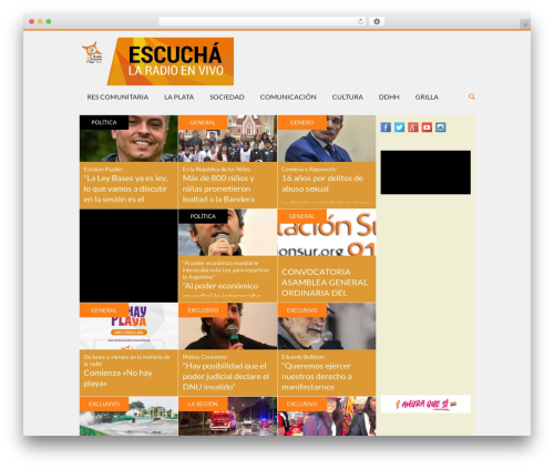 Puzzles WordPress theme - radioestacionsur.org
