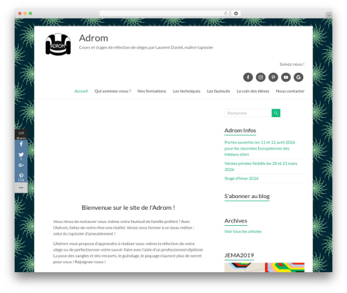 Easy Social Sharing (easy-social-sharing) free WordPress plugin - www.adrom-tapissier.com Easy Social Sharing (easy-social-sharing) free WordPress plugin - www.adrom-tapissier.com