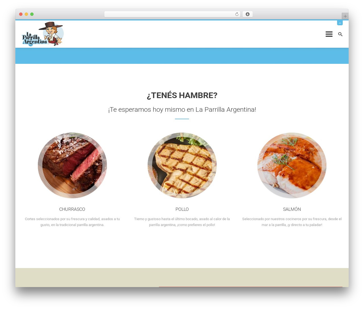 Theme WordPress CleanLab - parrillaargentinaonline.com