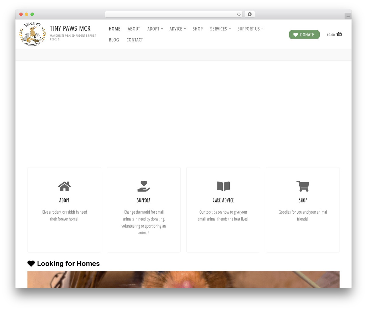 Theme WordPress Customify - tinypawsmcr.org.uk