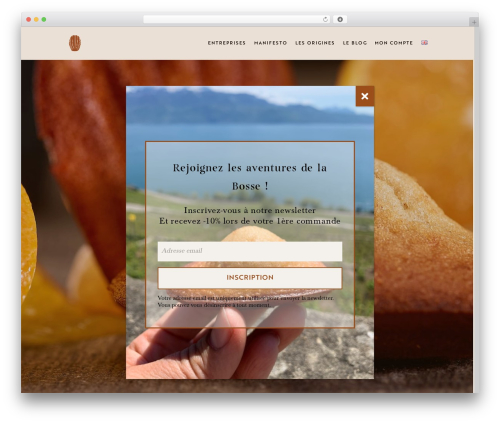 Theme WordPress Divi - galata.ch