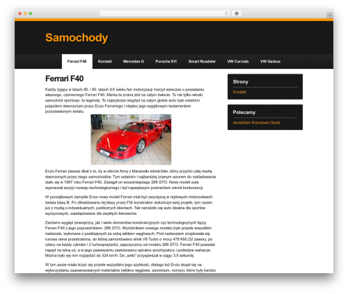 Theme WordPress Tiger - yforum.pl