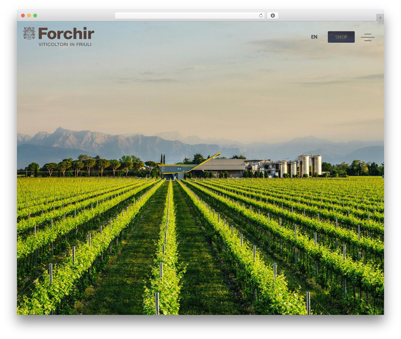 WordPress theme Hello Elementor - forchir.it WordPress theme Hello Elementor - forchir.it